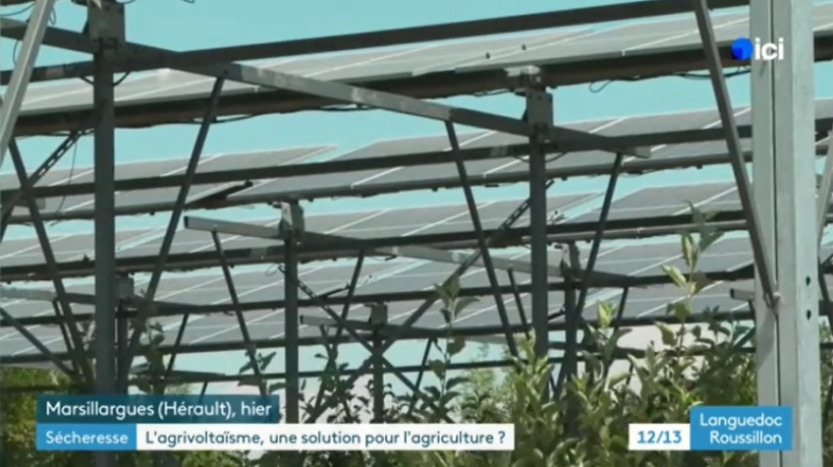 Impossible de lire la video